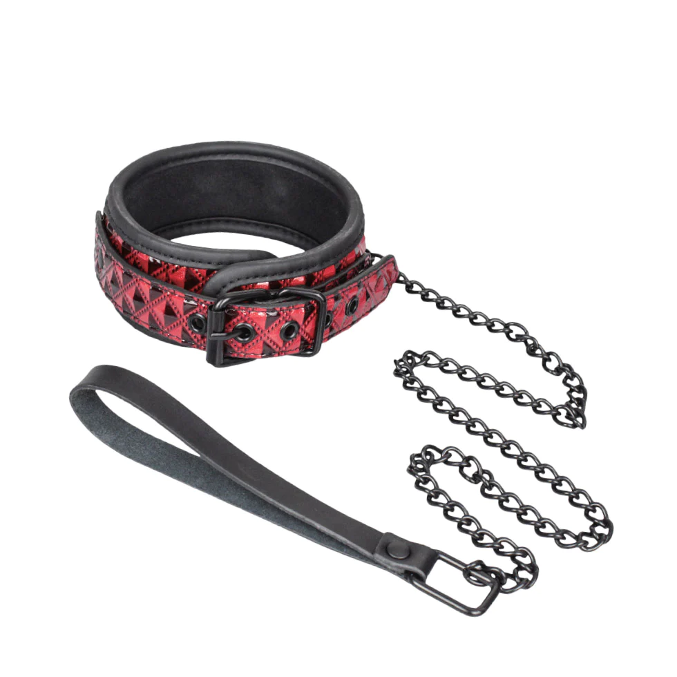Magic Touch Collar with Leash